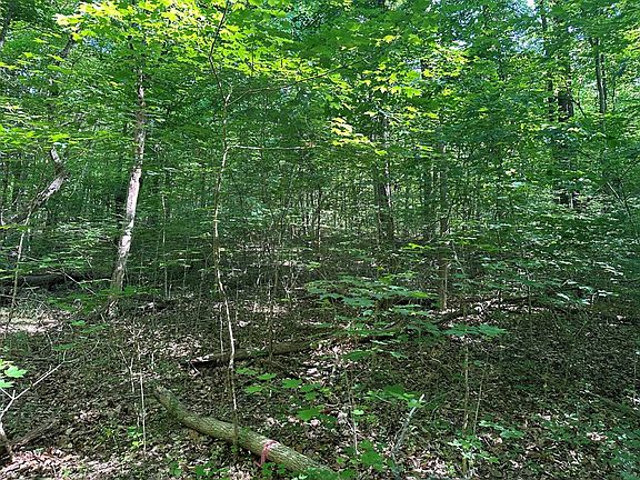 3rd image of LOT 25 Thirty Monacarn Ct