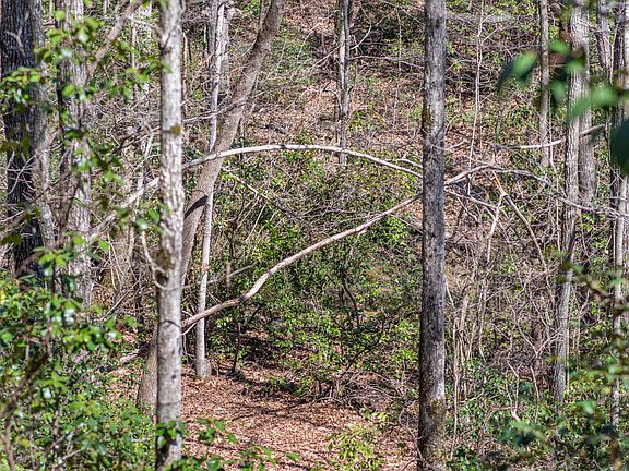 4th image of 615 Shadow Rock Dr