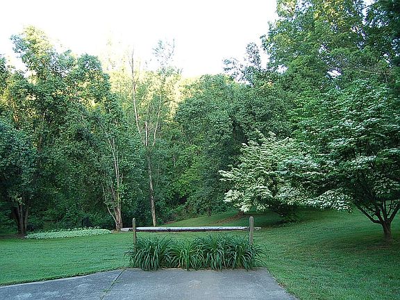 Back yard