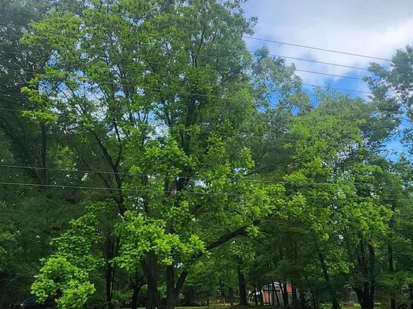 8220 Bells Lake Rd Lot 1, Apex, NC 27539