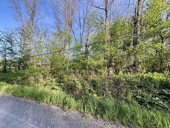 2nd image of 207 Goodfellow Rd