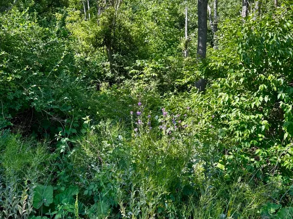 21177 N Valley Rd, Kildeer, IL 60047