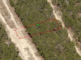 111 Webhill Ave, Inverness, FL 34452