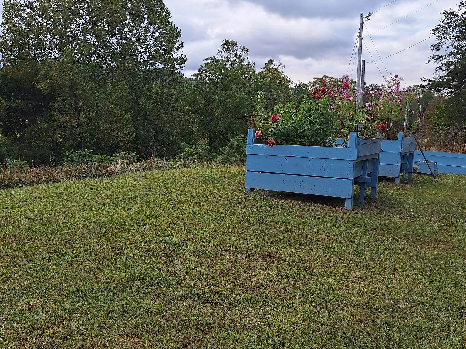 3 bed, 1768 sqft, $1,795 — Photo 4