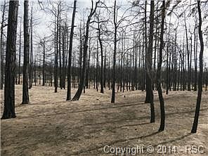 2nd image of 6145 Coolwell Dr