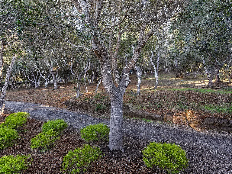 552 Monhollan Rd — Photo 45