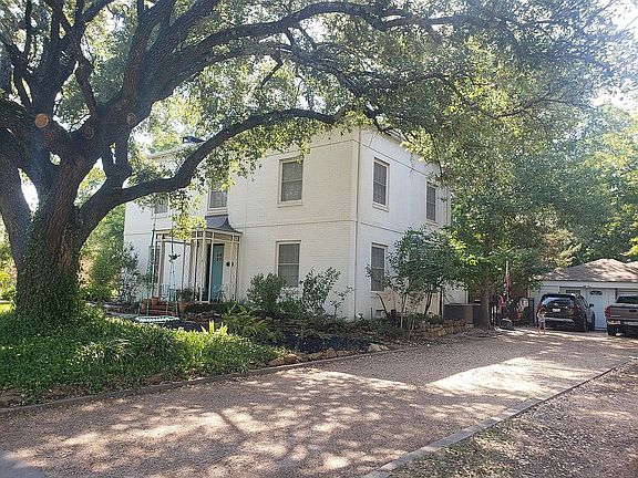 100+ year old live oak 