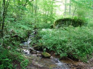 99999 Maney Branch Rd, Weaverville, NC 28787