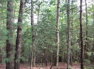 250 Candy Ln, Ellijay, GA 30540