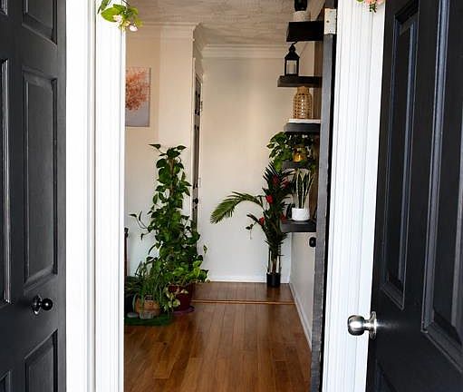 5th image of 66 Fahey Street