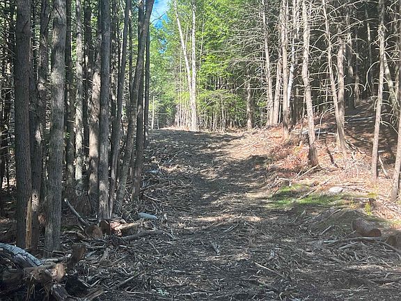 4th image of Lower Ridge Road