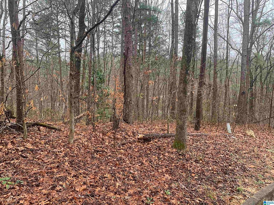 2nd image of 608 Woodbrook Rd