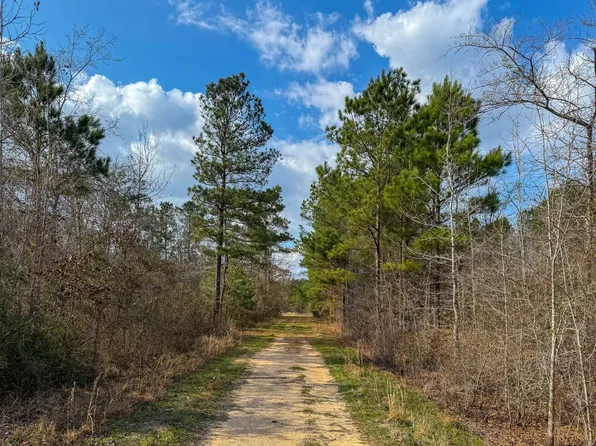 County Road 328, De Berry, TX 75639