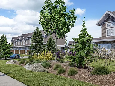 1334 Monterey Pine Drive