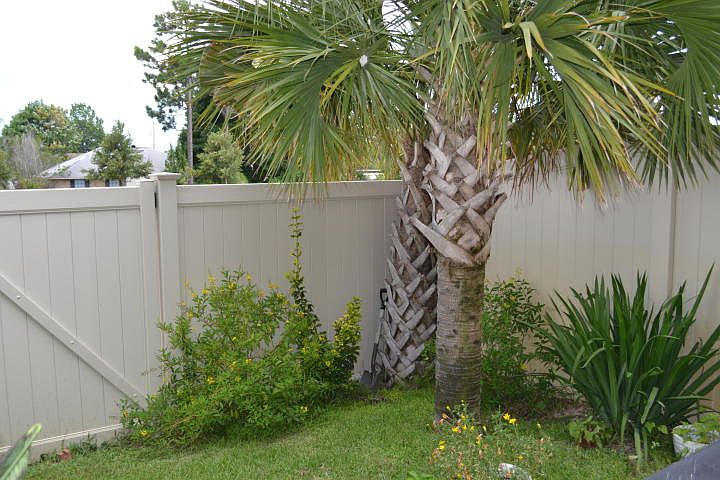 1st image of 8857 Brown Pelican Cir