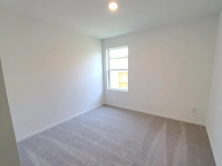 26810 Scarlet Willow Dr — Photo 12