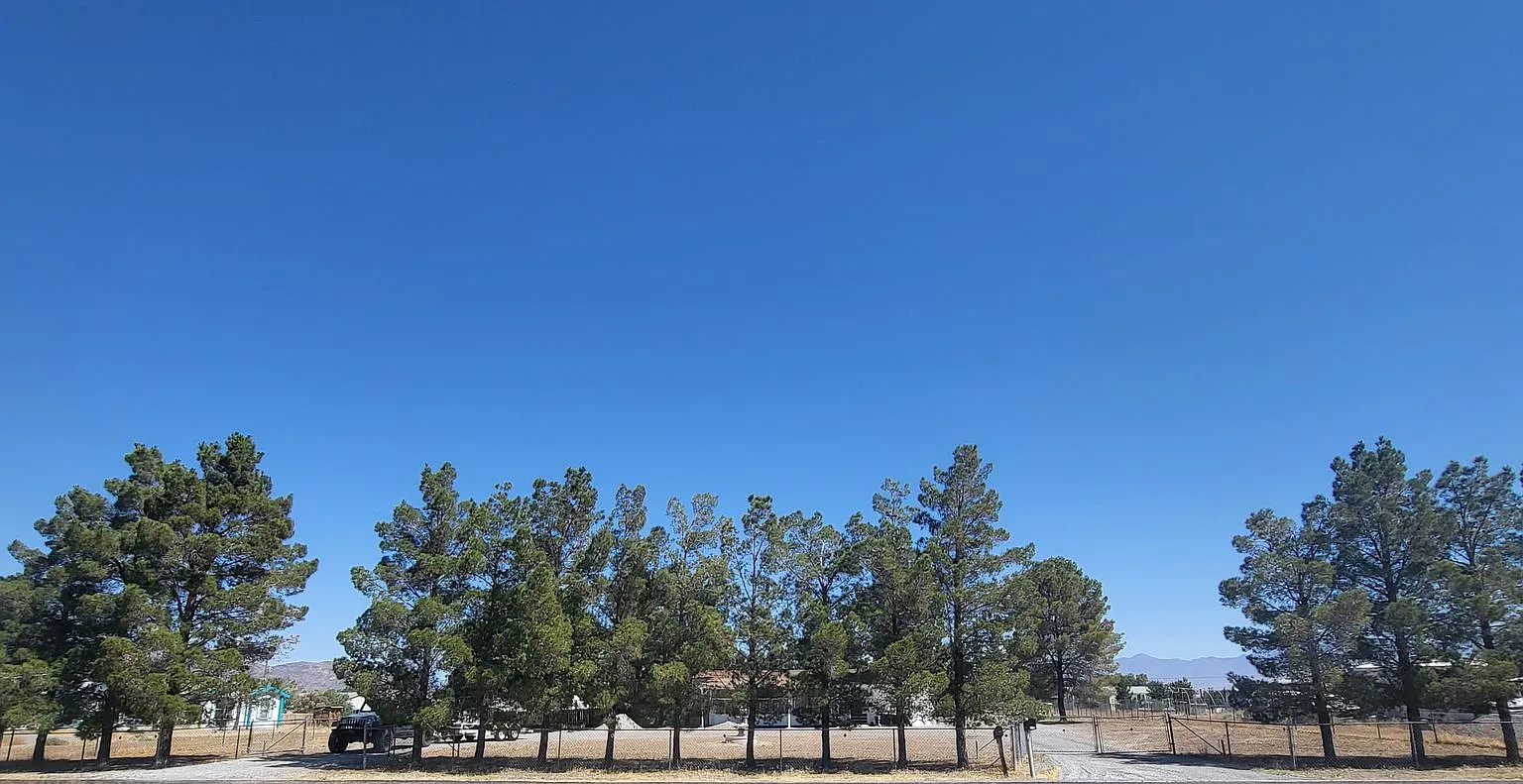 Charleston Park - Van Lane — Photo 1