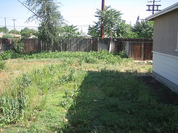 back yd before trees