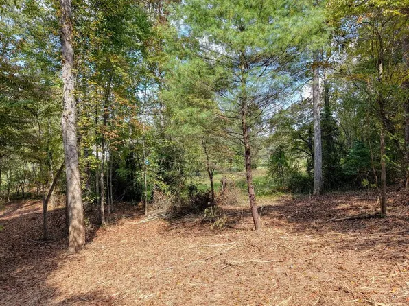 LOT 40 Pleasant Mdws, Blairsville, GA 30512