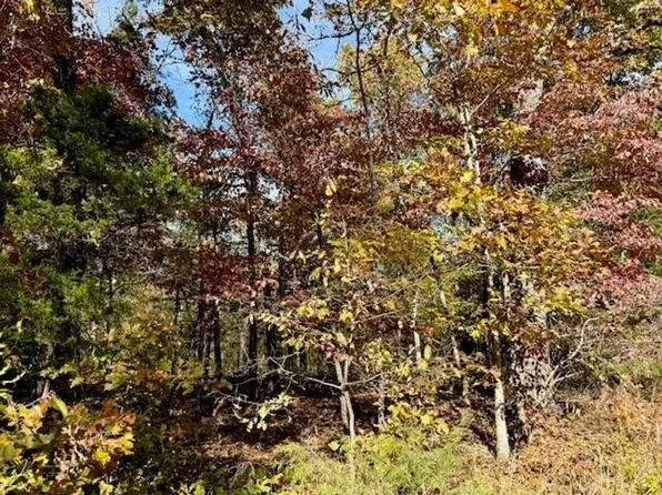 0 Private Road 5 #200, Gainesville, MO 65655