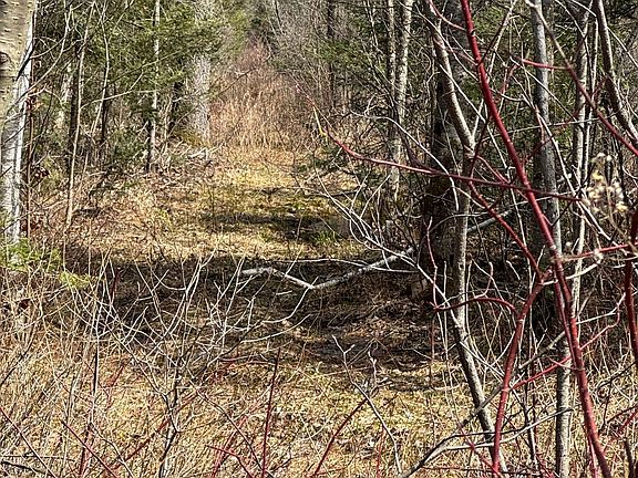 4th image of 164 Riding Stable Rd