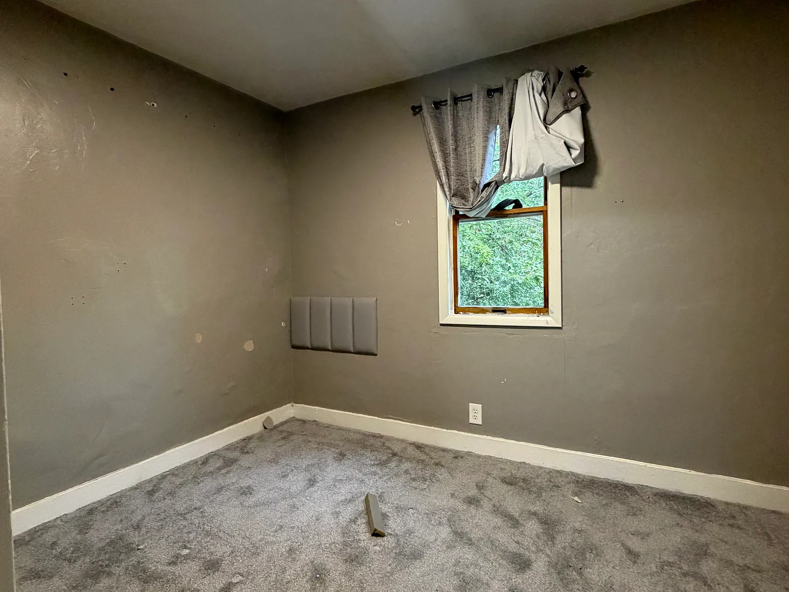 14 Marion St — Photo 3