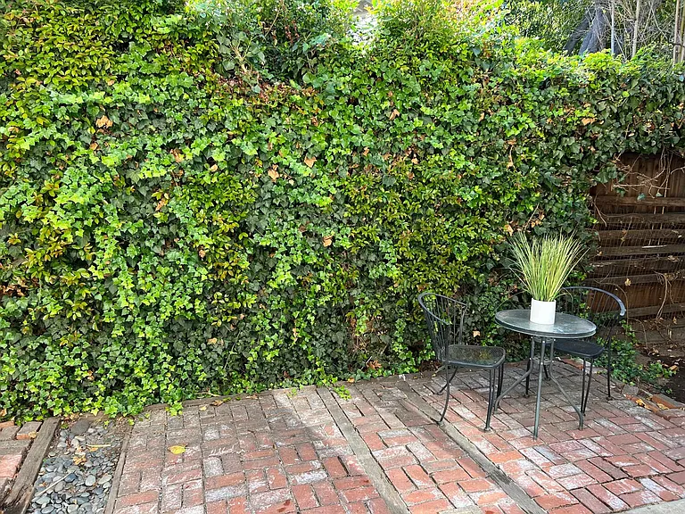 207 W Arrellaga St #A — Photo 4