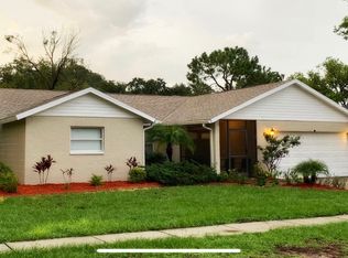 714 Sailfish Dr, Brandon, FL 33511
