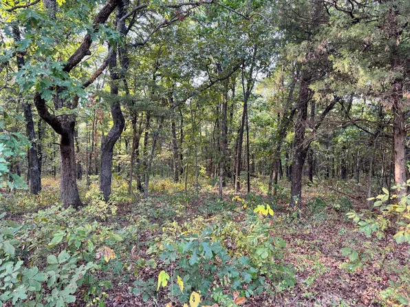 Tbd Pp Hwy, Collins, MO 64738