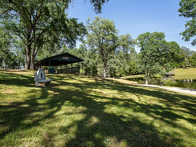 6263 Pine Needle Ln — Photo 24
