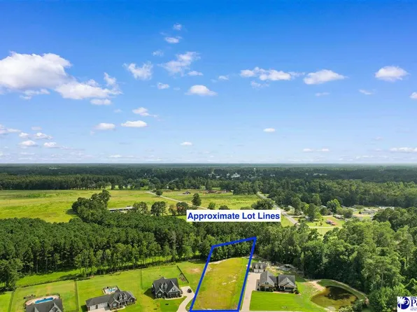 Farm Trac Dr, Galivants Ferry, SC 29544