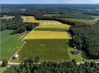 Highway 430, Nichols, SC 29581