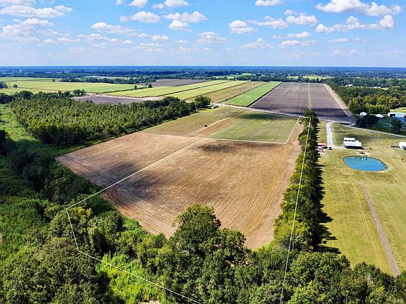 2nd image of 1111 Lion Castille Rd