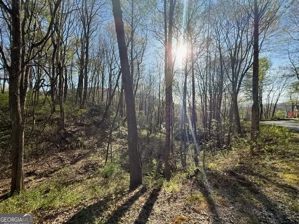 0 Thunderhead Ln, Dillard, GA 30537