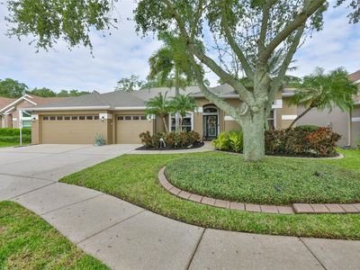 7260 Bucks Ford Dr, Riverview, FL, 33578