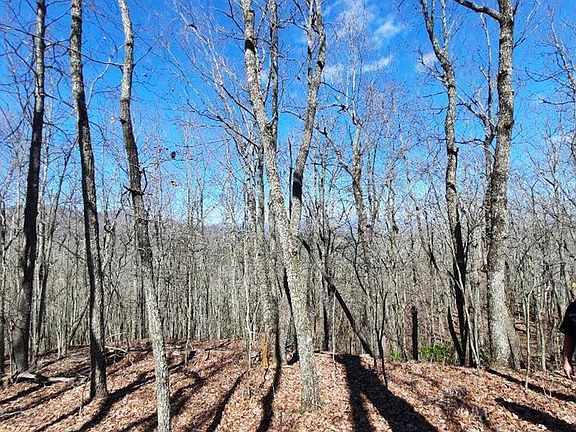3rd image of LOT 7 Quail Dr