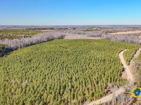 Bradley Trl, Jefferson, SC 29718