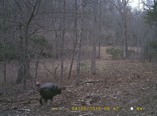 525 Sellers Rd, Mount Airy, GA 30563