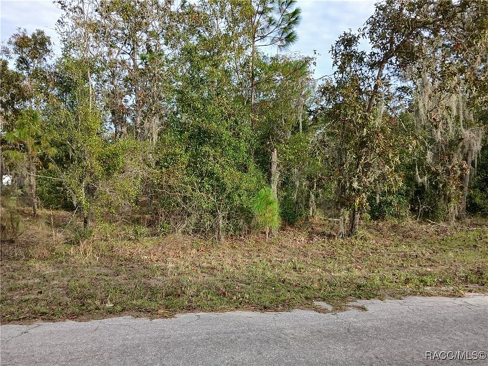 1st image of 11755 N Belluzzi Ter