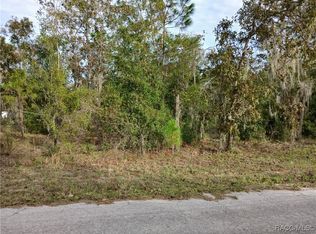 11755 N Belluzzi Ter, Dunnellon, FL 34433