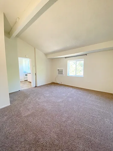215 Semple St #4 Photo 1