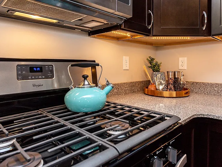 Gas Range Stove