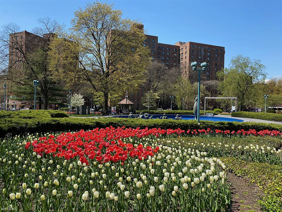 parkchester oval
