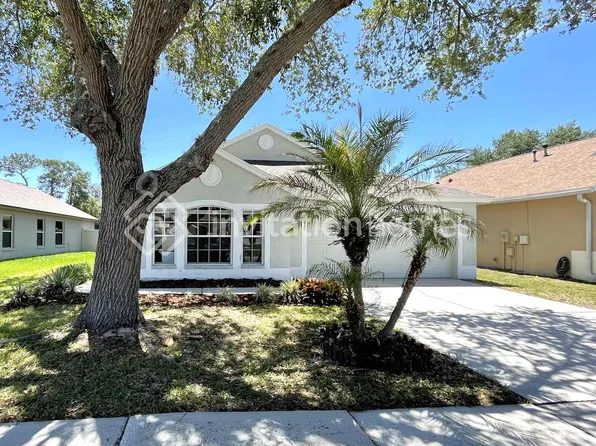 24436 Summer Wind Ct, Lutz, FL 33559