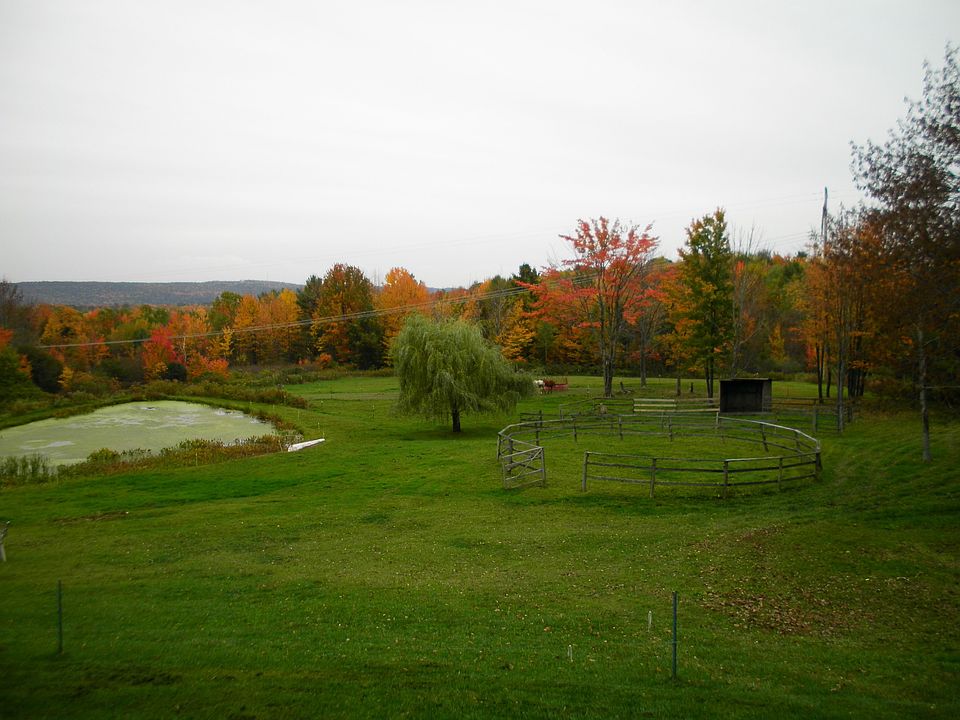View from house down through horse pasture