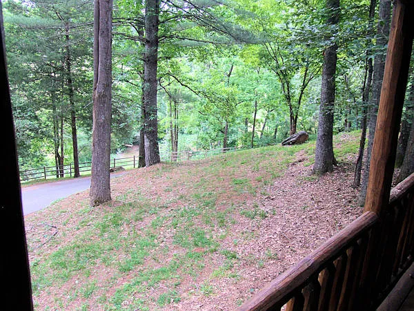 84 Bruin Ridge Trl — Photo 10