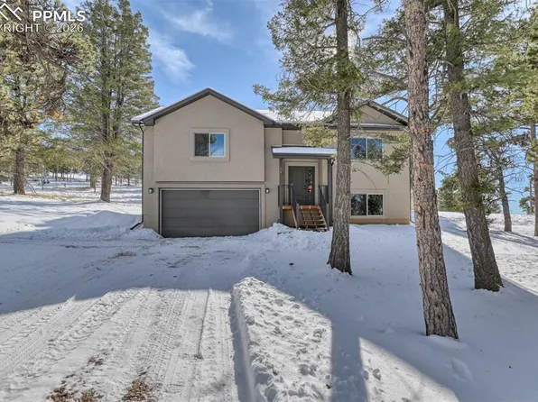 24 Big Horn Cir, Florissant, CO 80816