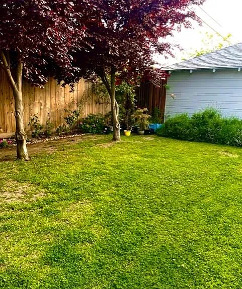 410 W Walnut St — Photo 33