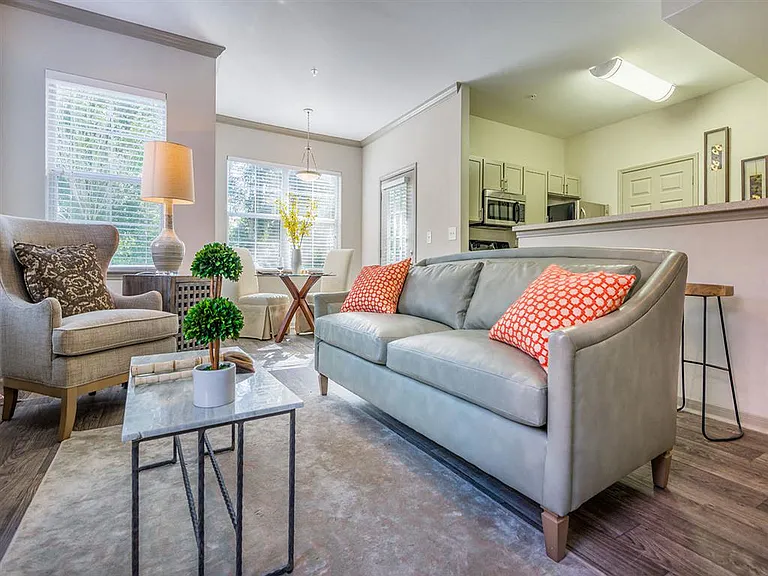 Furnished model living room
