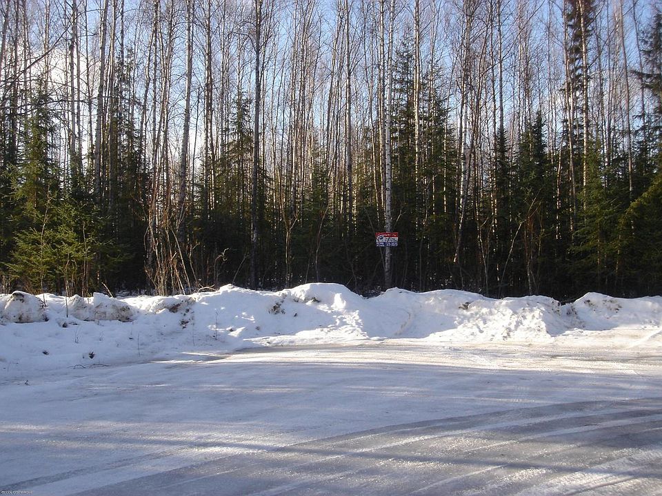 2nd image of 12588 White Stag